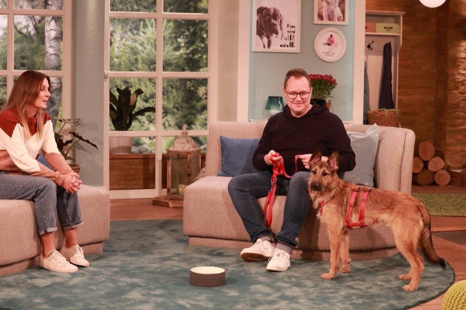 Dr. Florian Wuchert stellt im Fernsehstudio einen Schäferhund-Mischling vor, links im Bild Moderatorin Simone Sombecki